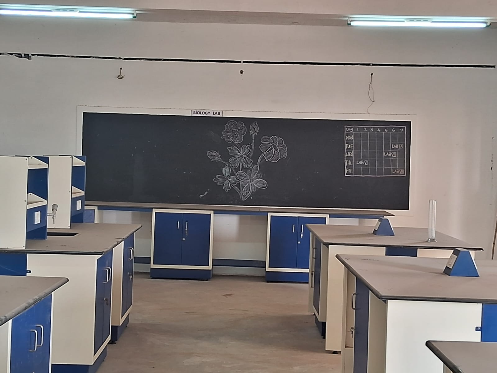 lab Image 1